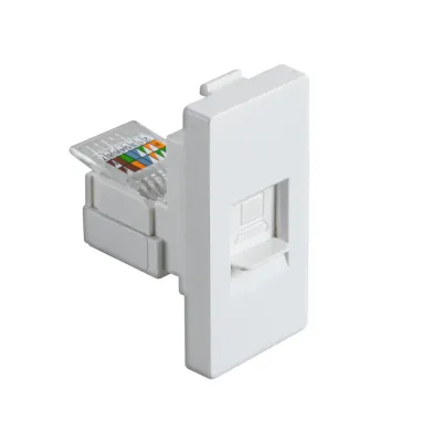 Модуль в рамку для Интернета белый CAT5 (1/2)