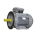 Электродвигатель общепромышленный PR 160 L2-SDN-Б1-S12-IE3 18.5/3000 IM B35