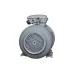 Электродвигатель общепромышленный PR 160 L2-SDN-Б1-S12-IE3 18.5/3000 IM B35