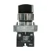 Переключатель BD33 3P короткая ручка 2NO IP65