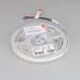 Лента светодиодная 14,4 Вт/м 24В IP65 RGBW 60LED/м RT/RTW-B60-10mm SMD 5060 5 м