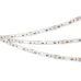 Лента светодиодная 12 Вт/м 24В IP65 RGB 120LED/м RT/RTW-A120-8-10mm SMD 2835 5 м