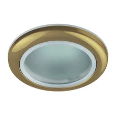WR1 GD Светильник ЭРА влагозащищенный MR16,12V220V, 50W золото (100/2000)