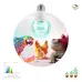 Лампа для птиц и рептилий ЭРА Chicken с UVB спектром FITO-Dim 9W E27