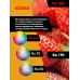 Лампа светодиодная LED 11Вт 990Лм 4000К E27 A60 Груша KODAK A60-11W-840-E27 K
