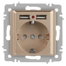 Розетка Intro Accent 6-410-04 , P+E Schuko со шторками, 16А-250В + 2хUSB, IP20, СУ, шампань