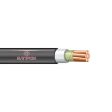 ППГ нг(А)FRHF 1x95,0 1кВ МК белый