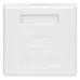 Компьютерная розетка 8P8C (RJ-45), FTP, Cat.5e, 2 порта (DIY)