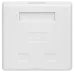 Компьютерная розетка 8P8C (RJ-45), UTP, Cat.6, 2 порта Компьютерная розетка 8P8C (RJ-45), UTP, Cat.6, 2 порта
