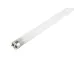 PLED T8-1500GL 24w FROST 4000K G13 230V/50Hz   Jazzway