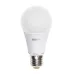 PLED- ECO- A60 11w E27 5000K 840Lm 220V/50Hz Jazzway PLED- ECO- A60 11w E27 5000K 840Lm 220V/50Hz Jazzway