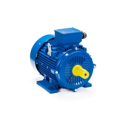 Электродвигатель 315M4-SDN- 132/1500 IM B3