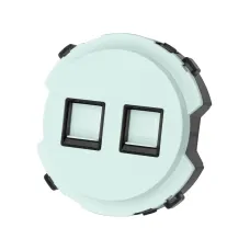 Розетка телефонная RJ11 + компьютерная RJ45 фисташковая  Байкал TDM