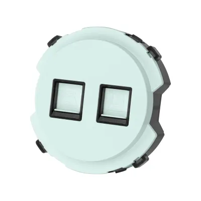 Розетка телефонная RJ11 + компьютерная RJ45 фисташковая  Байкал TDM