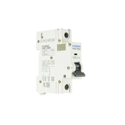 Выключатель автоматический HGD63-M 1PMBS0000C 00006 1 полюс, 6А, ток  6kA, хар-ка B (STANDARD)