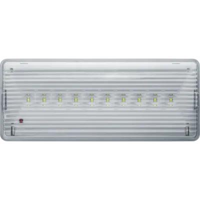 Светильник аварийный светодиодный NEF-08 3 Вт 3ч непостоянный IP54