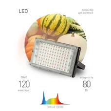 Фитопрожектор для растений светодиодный ЭРА FITO-80W-Ra90-LED-Y полного спектра