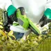 Цепная мини пила аккумуляторная Greenworks GD24CSMNX, 24V, 15см, бесщеточная, без АКБ и ЗУ (2008707)