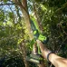 Цепная мини пила аккумуляторная Greenworks GD24CS15, 24V, 15см, бесщеточная, с автоматической смазкой цепи, без АКБ и ЗУ ( 2010107)