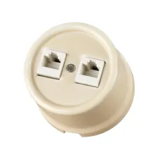 Розетка двойная компьютерная RJ45 сл. кость Болонь TDM