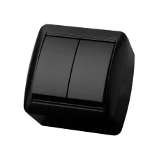 Выключатель 2-кл. открытой установки IP44 10А графит Селигер TDM