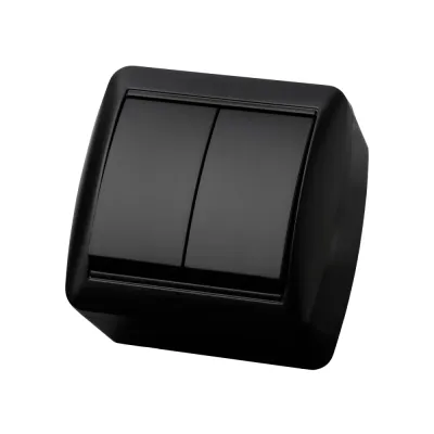Выключатель 2-кл. открытой установки IP44 10А графит Селигер TDM