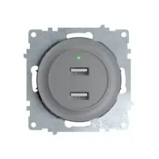 Розетка USB двойная, с подсветкой, цвет серый