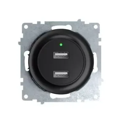 Розетка USB двойная, с подсветкой, цвет черный