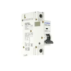 Выключатель автоматический HGD63-M 1PMCS0000C 00025 1 полюс, 25 А, ток короткого замыкания 6 kA, характеристика C (STANDARD)
