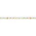 Лента светодиодная 19,2 Вт/м 24В IP20 6000K2700K 140LED/м RT-A140-10mm SMD 2835 5 м