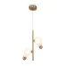 Светильник подвесной Evidence 2х40Вт G9 IP20 Freya FR5372PL-02BS
