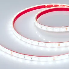 Лента светодиодная 14,4 Вт/м 24В IP68 10000K 60LED/м RT/RTW-B60-10-13mm SMD 5060 5 м