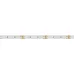 Лента светодиодная 14 Вт/м 24В 5000K IP20 120LED/м MICROLED-M120-8mm SMD 2216 5 м