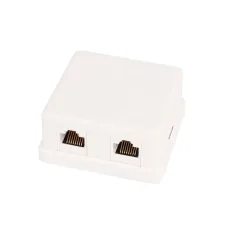 Настенная розетка NETLAN, 2 порта, Кат.5e (Класс D), 100МГц, RJ45/8P8C, 110, T568A/B, неэкранированная, белая, уп-ка 10шт.