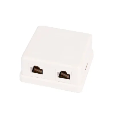 Настенная розетка NETLAN, 2 порта, Кат.5e (Класс D), 100МГц, RJ45/8P8C, 110, T568A/B, неэкранированная, белая, уп-ка 10шт.