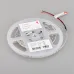 Лента светодиодная 5 Вт/м 24В IP20 6000K 80LED/м RT-A80-5mm SMD 2835 5 м