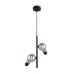Светильник подвесной Evidence 2х40Вт G9 IP20 Freya FR5372PL-02B