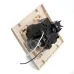 Розетка 1-местная с/з с защитной шторкой  и с USB, серия Эрна, PST16-9011-02, слоновая кость