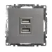 Розетка USB 2-местная (механизм), STEKKER GLS10-7115-03, 250B, 2,4А, серия Катрин, серебро Розетка USB 2-местная (механизм), STEKKER GLS10-7115-03, 250B, 2,4А, серия Катрин, серебро
