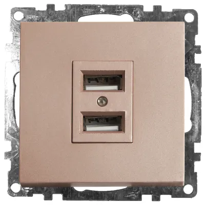 Розетка 2-местная USB (механизм), 250В, 2,4А, серия Катрин, GLS10-7115-02, шампань
