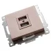Розетка 2-местная USB (механизм), 250В, 2,4А, серия Катрин, GLS10-7115-02, шампань