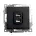 Розетка 2-местная USB (механизм), 250В, 2,4А, серия Катрин, GLS10-7115-05, черный Розетка 2-местная USB (механизм), 250В, 2,4А, серия Катрин, GLS10-7115-05, черный