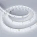Лента светодиодная 10 Вт/м 24В IP65 6000K 98LED/м RT/RTW-A98-8mm SMD 2835 5 м
