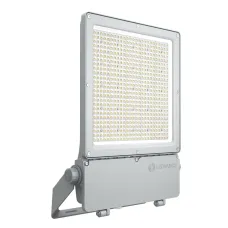 FL FLEX P 250W ML 840 R30 WAL