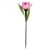 Светильник светодиодный садовый на солнечной батарее СОЛАР USL-C-451/PT305 PINK TULIP Светильник светодиодный садовый на солнечной батарее СОЛАР USL-C-451/PT305 PINK TULIP