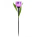 Светильник светодиодный садовый на солнечной батарее СОЛАР USL-C-453/PT305 PURPLE TULIP