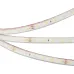 Лента светодиодная 4,8 Вт/м 24В IP68 3000K 60LED/м RT/RTW-A60-8-11mm SMD 2835 5 м