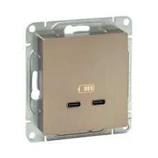 Механизм розетки USB-C - 2шт  шампань Эпика EKF