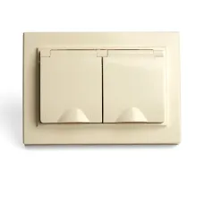 Розетка 2-местная с/з с крышкой, серия Эрна, PST16-9015-02, слоновая кость
