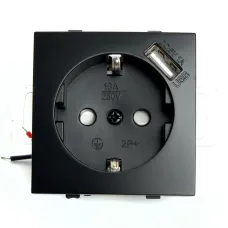 Розетка 1-местная с/з (механизм)  и с USB, серия Эрна, PST16-9111-03, черный